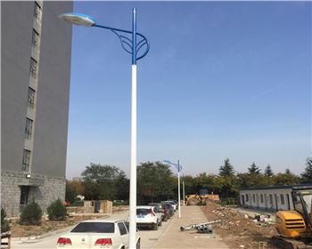 甘肅市電路燈-甘肅省西安市西北大學(xué)長(zhǎng)安校區(qū)路燈工程